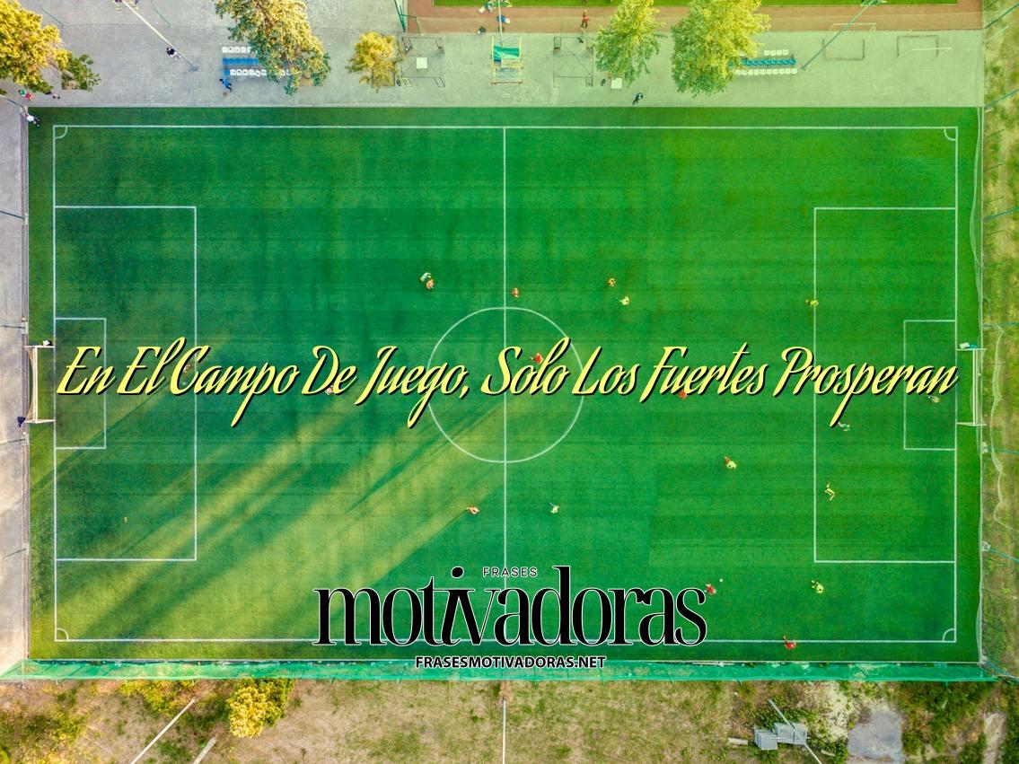 En El Campo De Juego, Solo Los Fuertes Prosperan