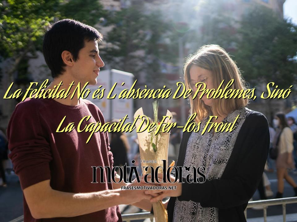 La Felicitat No és L’absència De Problemes, Sinó La Capacitat De Fer-los Front